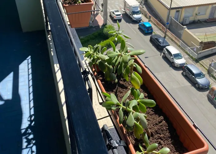 Foscolo 20 * La Spezia